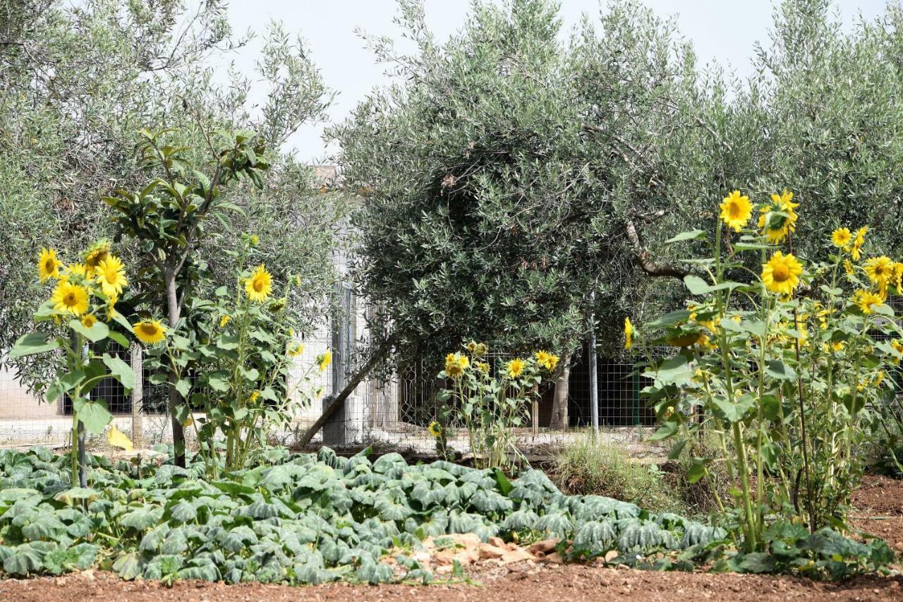 Casa Le Gebbie Villa มาร์ซาเมมี ภายนอก รูปภาพ