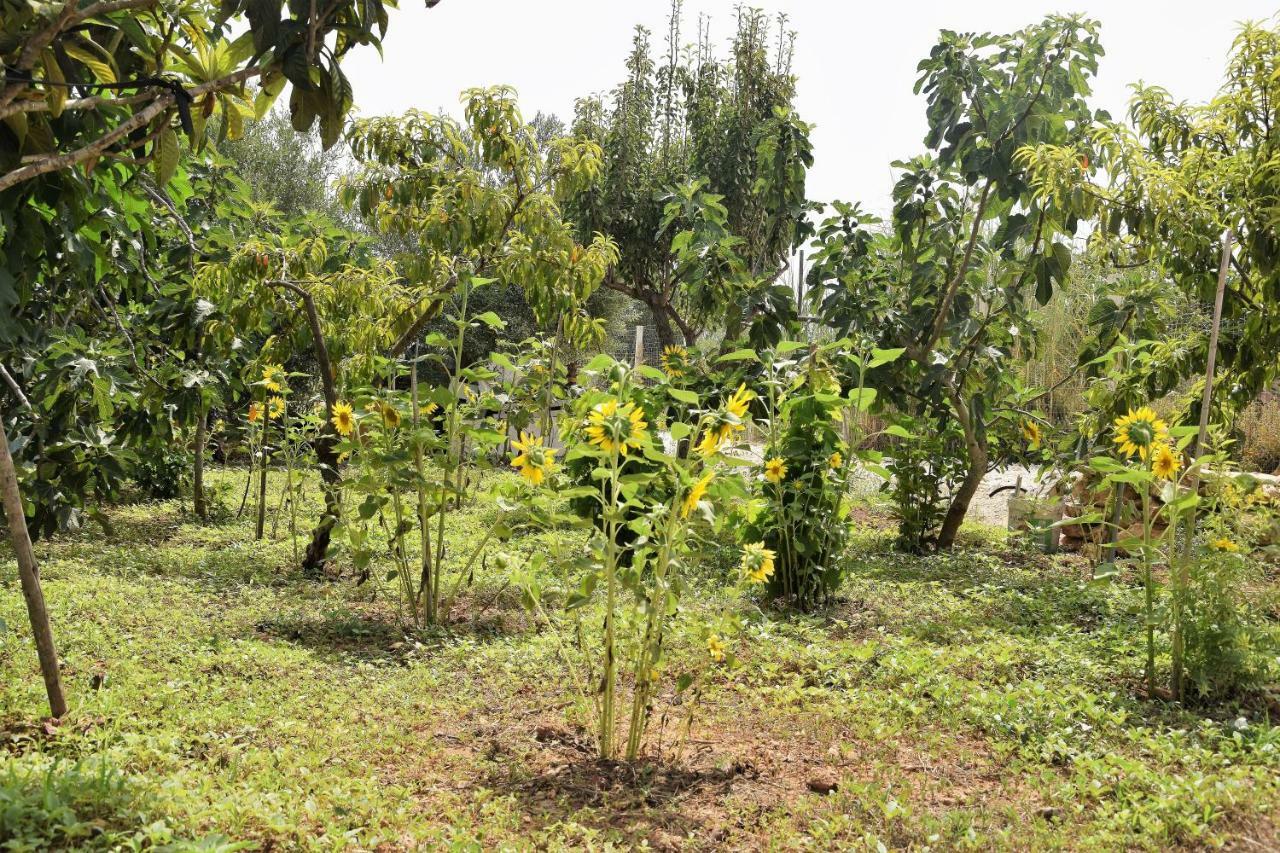 Casa Le Gebbie Villa มาร์ซาเมมี ภายนอก รูปภาพ